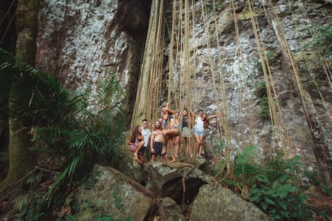 Mang Den: 1 Day Jungle Trek K50 Waterfall & Hang En Cave - Image 2