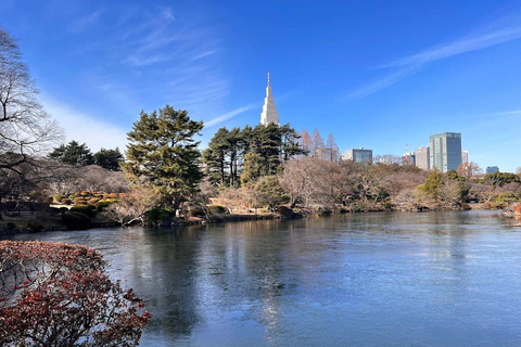 Tokyo Full and Half Day Sightseeing Tour with Mount Fuji Tokyo: 4 Hours Private City Sightseeing Tour with Tour Guide