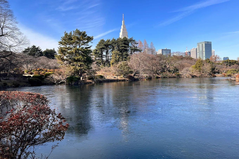 Tokyo Full and Half Day Sightseeing Tour with Mount Fuji Tokyo: 4 Hours Private City Sightseeing Tour with Tour Guide