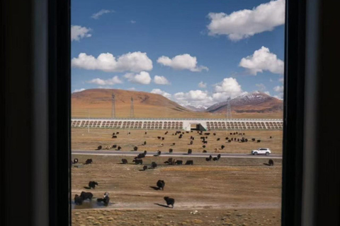 Aventura sob o céu estrelado do Monte EverestAventura no céu estrelado do Monte Everest