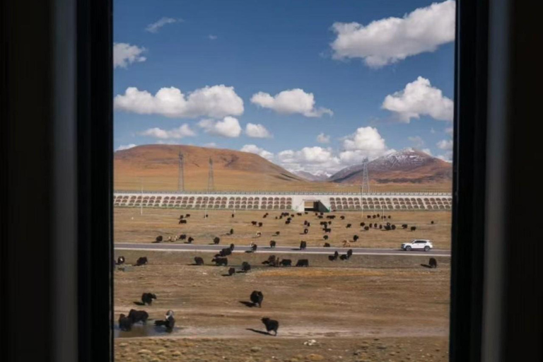 Aventura sob o céu estrelado do Monte EverestAventura no céu estrelado do Monte Everest