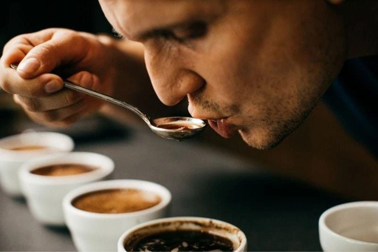 Cartagena: Intimate Premium Coffee Tasting Experience