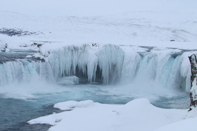 Akureyri : Goðafoss, maison de Noël et visite de la lagune forestière