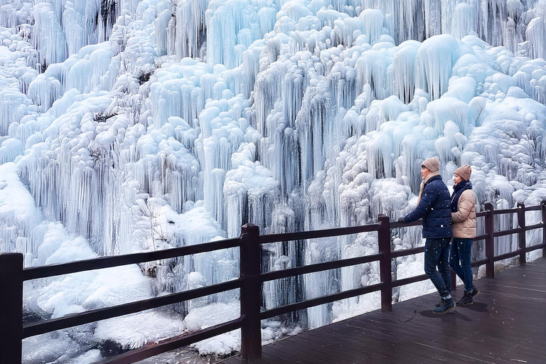 From Seoul: Pyeongchang Trout Festival & Ice Fishing A. Round-Trip Shuttle Bus Only