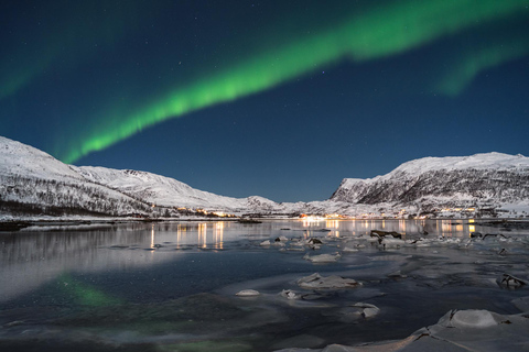 De Tromsø: Perseguição de ônibus guiada pela aurora borealDe Tromsø: Tour Guiado de Ônibus em Busca da Aurora Boreal