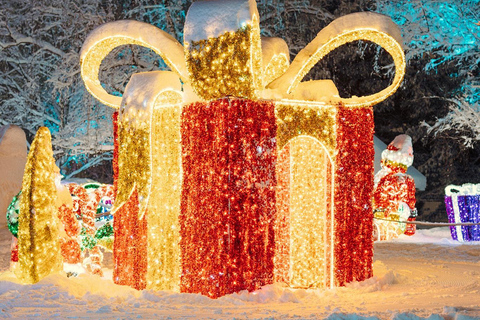 Arctic Fantasy Park Entry Ticket