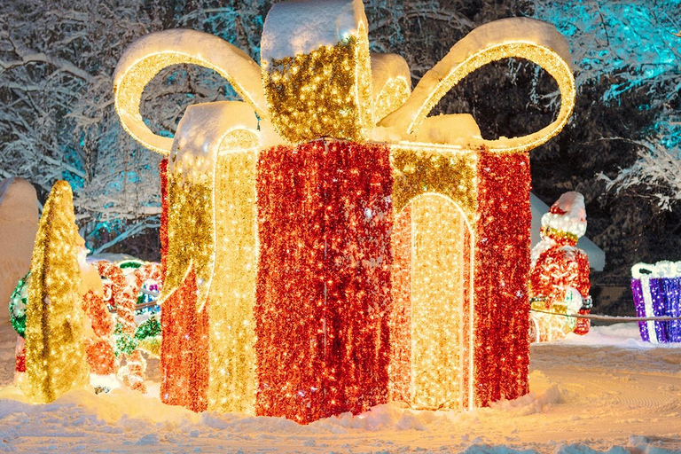 Arctic Fantasy Park Entry Ticket