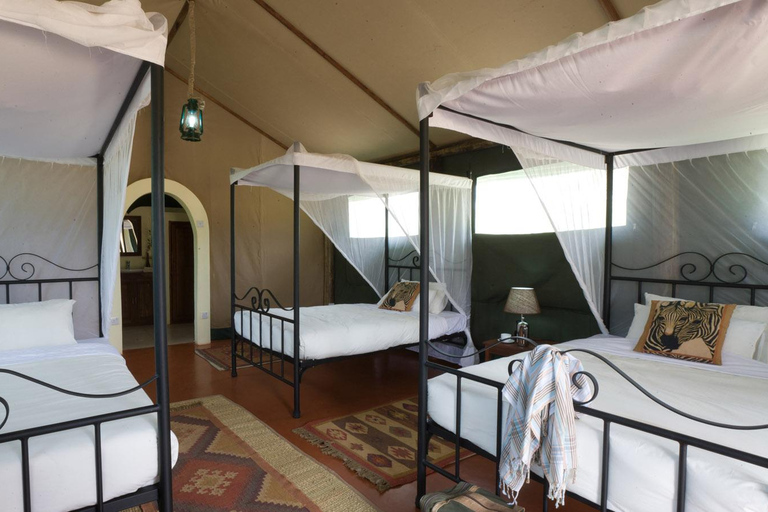 Arusha: 3-Day Safari to Tarangire, Ngorongoro & Lake Manyara