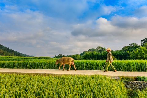 Vientiane Prefecture: 1-Day Trip | Culture and Livelihood