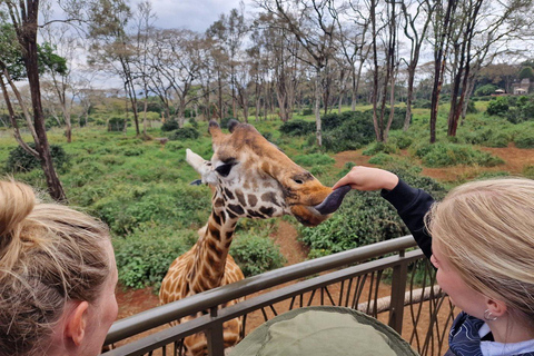 Nairobi : visite de l'orphelinat des éléphants et du centre des girafesVisite de l'orphelinat des éléphants, du centre des girafes et des bomas du Kenya