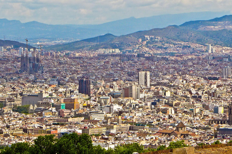 Privat rundtur i Barcelona: Sagrada Familia och höjdpunkterBarcelonas privata mellanlandningstur: Sagrada Familia och höjdpunkter