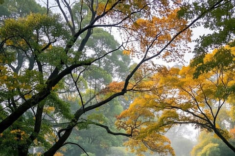 From Shanghai: Suzhou, Wuzhen, and Hangzhou 3-Day Tour