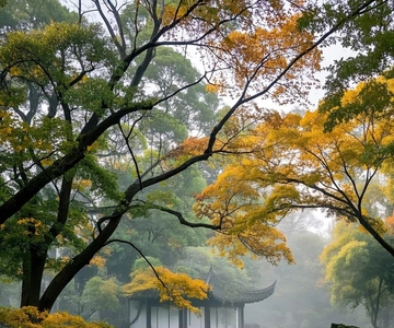 From Shanghai: Suzhou, Wuzhen, and Hangzhou 3-Day Tour