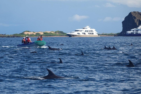 Itinerario B del Viaje a Galápagos (5D/4N) (2024)Camarote Doble Estándar - Alojamiento Doble (Nov 04 - Nov 08)