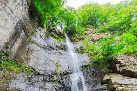 From Batumi: Best of Adjara –Waterfalls, History & Coastline