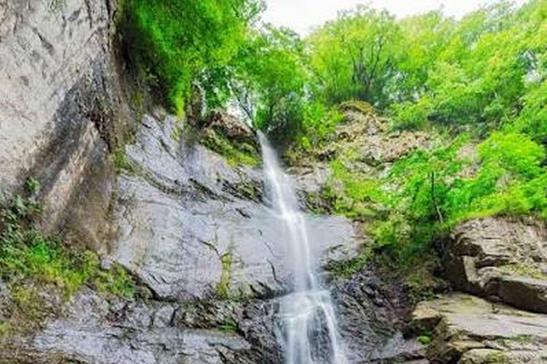 From Batumi: Best of Adjara –Waterfalls, History & Coastline