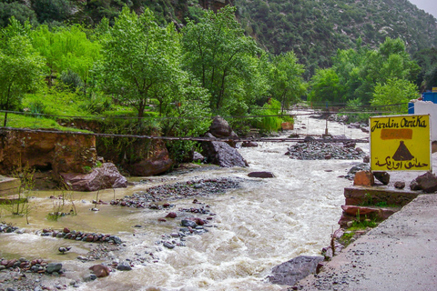 Marrakech : Private To Ourika Valley Atlas Mountains & Lunch Private Day Trip To Ourika Valley, Waterfalls With Lunch