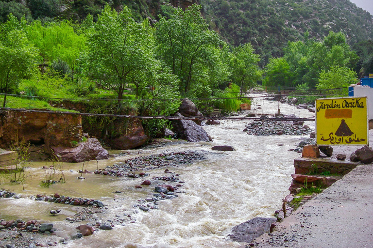 Marrakech : Private To Ourika Valley Atlas Mountains & Lunch Private Day Trip To Ourika Valley, Waterfalls With Lunch