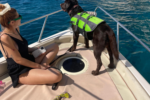 Zante: Tour en barco privado Cuevas de la Isla de las Tortugas Mizithres