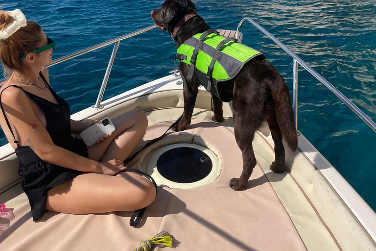 Zante: Tour en barco privado Cuevas de la Isla de las Tortugas Mizithres