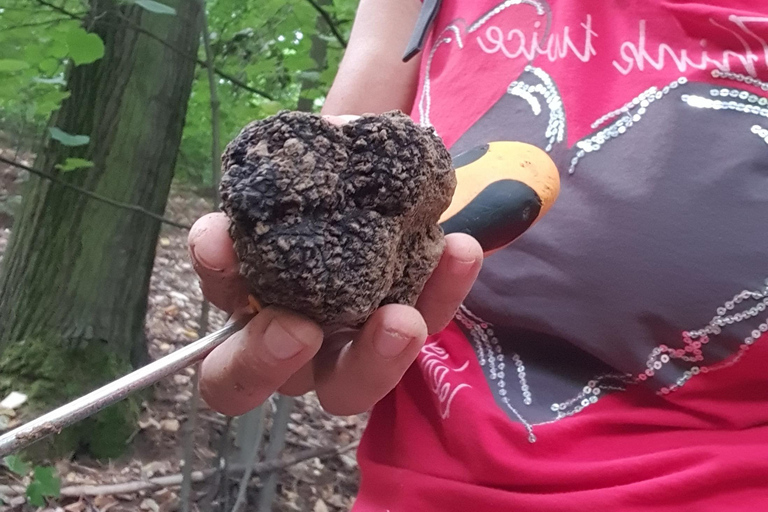 Circuit de chasse à la truffe, Serbie