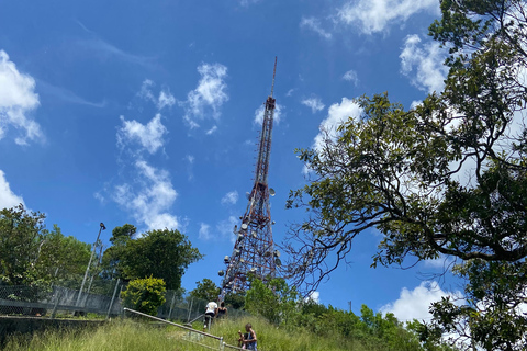 São Paulo : Pico do Jaraguá + sentier Pai ZéSão Paulo : Pico do Jaraguá + Sentier du père Zé