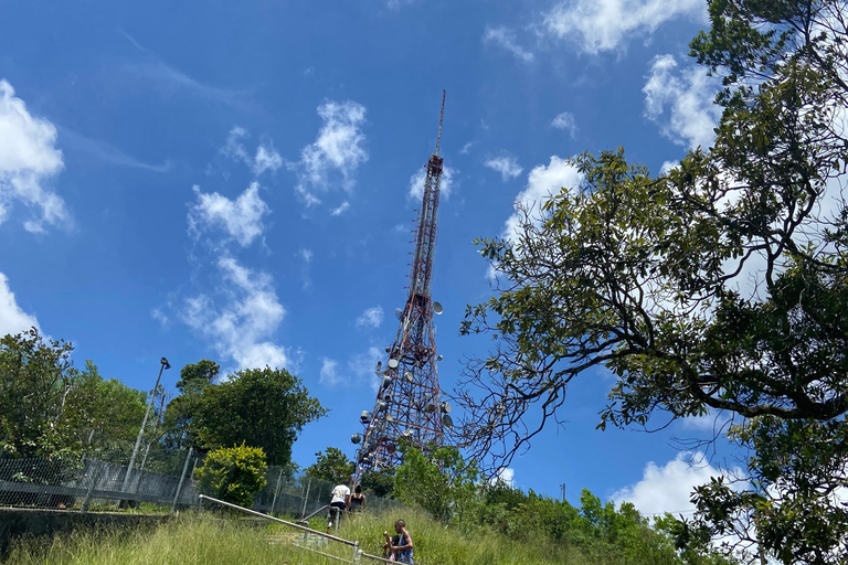 São Paulo : Pico do Jaraguá + sentier Pai ZéSão Paulo : Pico do Jaraguá + Sentier du père Zé