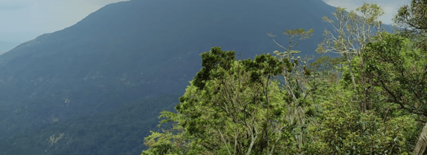 Depuis Huatulco : Visite du café et du mezcal