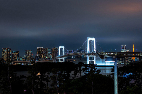Tokyo: Luxury Private Full-Day City Tour by Alphard Luxury Alphard