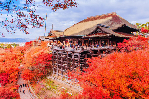 kyoto One Day Tour: Kinkaku-ji, Kiyomizu-dera&Fushimi Inari Osaka Nipponbashi Meeting Point at 8:40 AM