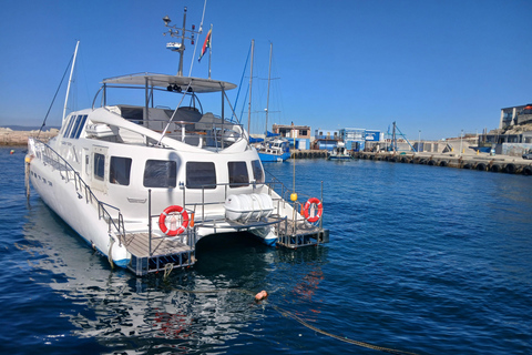 Cape Town: Hermanus whale watching, stony penguin and wine