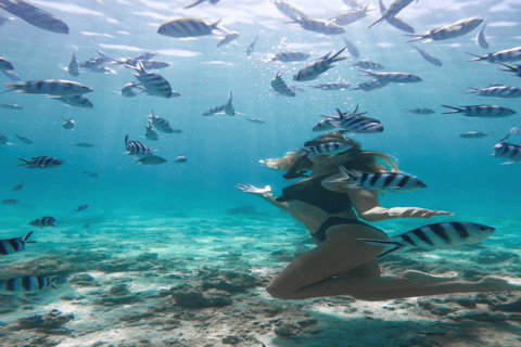 5 Islands Private Speedboat w/ Snorkeling + Lunch & Drinks