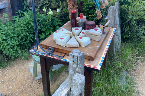 From Auckland: Hobbiton Small-Group with Party Marquee Lunch