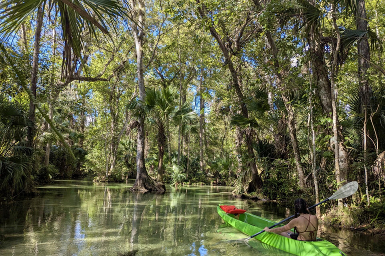 Florida: Rock Springs Run Clear Kayak Adventure