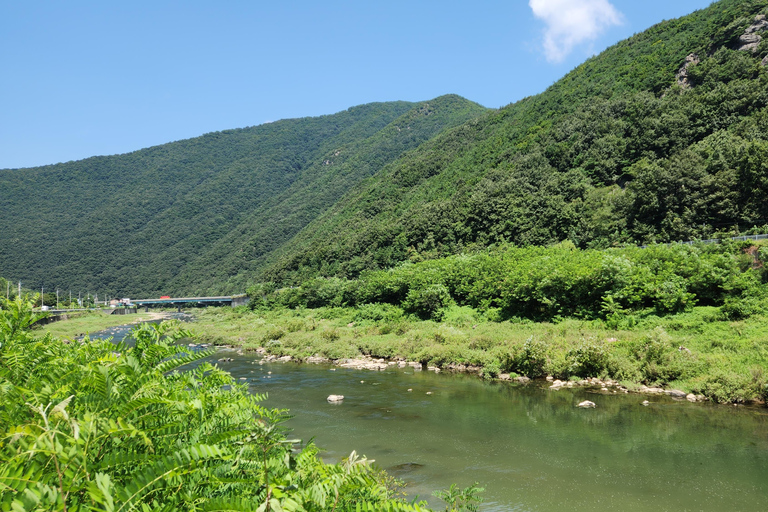 Desde Seúl: Excursión Privada de Tiro con Arco y Tiro
