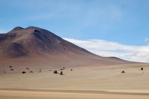 3-dagars utflykt till Salar de Uyuni