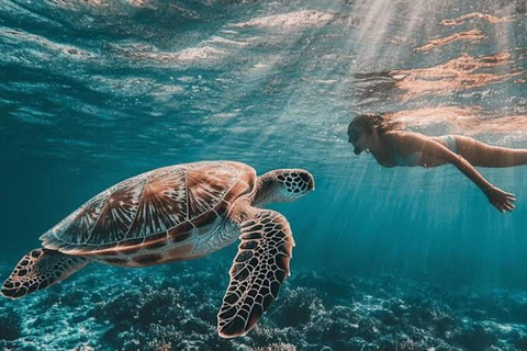 Zanzibar: Swim with Sea Turtles at Nungwi Lagoon Hotel Transfer Within Northern Zanzibar
