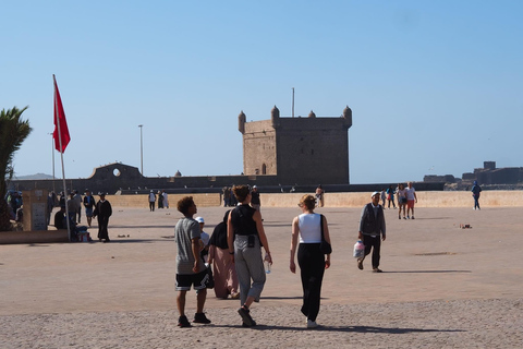 Passeio de um dia pela cidade de Essaouira saindo de Marrakech