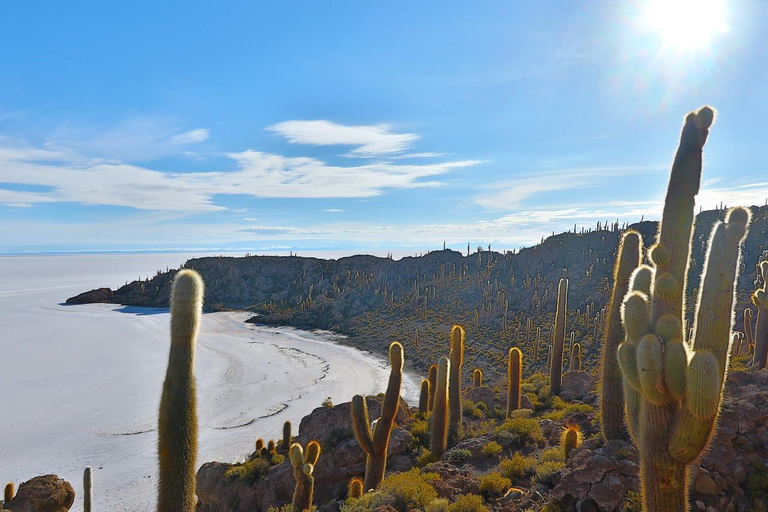 Vanuit Uyuni: 3-daagse zoutvlakten en lagunes tour met ...