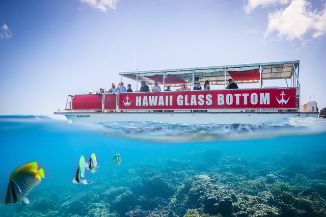 Honolulu: Glass Bottom Boat Tour entlang der Südküste Oahus