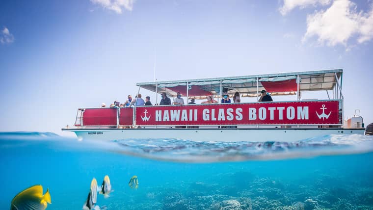 Le migliori attività a Isola Di Oahu