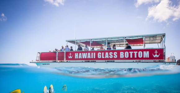 Honolulu: Glass Bottom Boat Tour of Oahu&#39;s South Shore Reefs