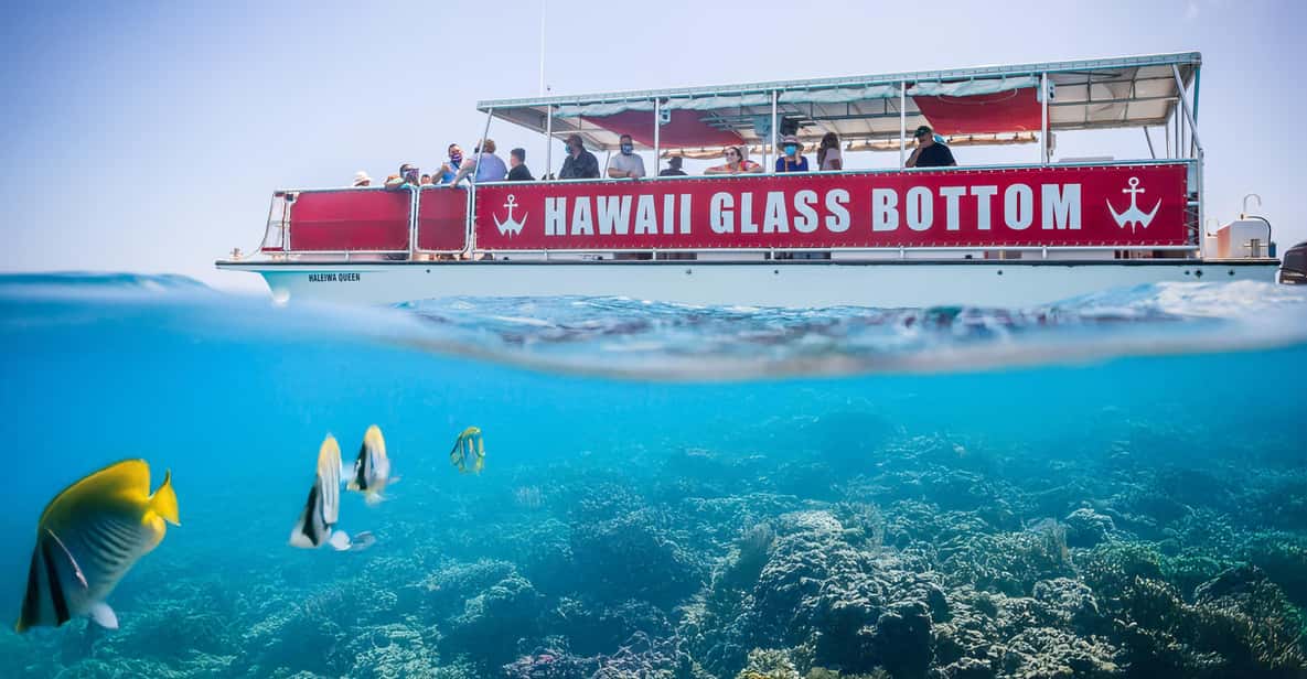 Day-cruise boats at Kewalo Basin on a boat tour from Honolulu, USA