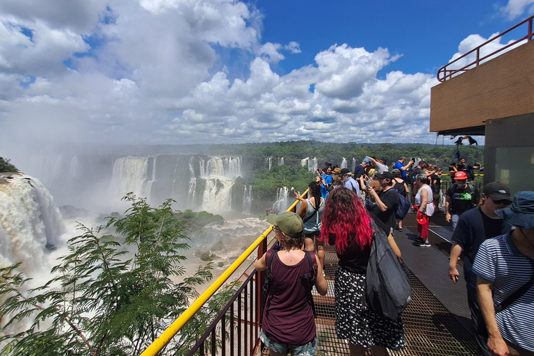 Foz do Iguaçu: Iguazu Falls, Bird Park & Itaipu Dam Day Trip