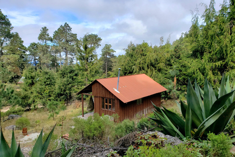 Oaxaca: Sierra Norte Ixtepeji Guided Hike & Lunch, Half-Day