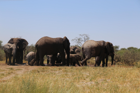 Victoria Falls in a Day Safari, Waterfalls & Sunset Cruise