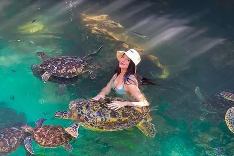 Sansibar: Insel Mnemba, Turles schwimmen mit Kendwa Strand