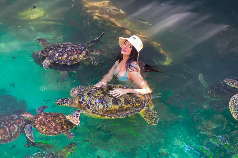 Sansibar: Insel Mnemba, Turles schwimmen mit Kendwa Strand