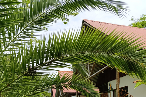 Cusco: 2-Day Coffee & Cacao Farm Stay Experience