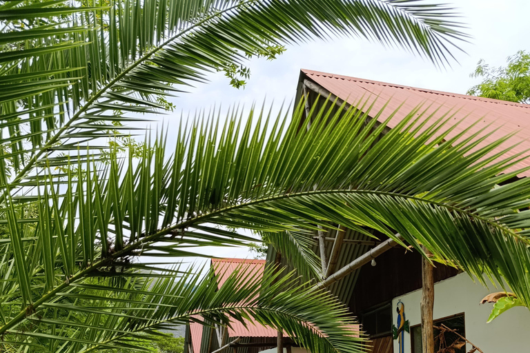 Cusco: 2-Day Coffee & Cacao Farm Stay Experience